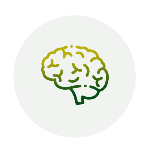 Brain