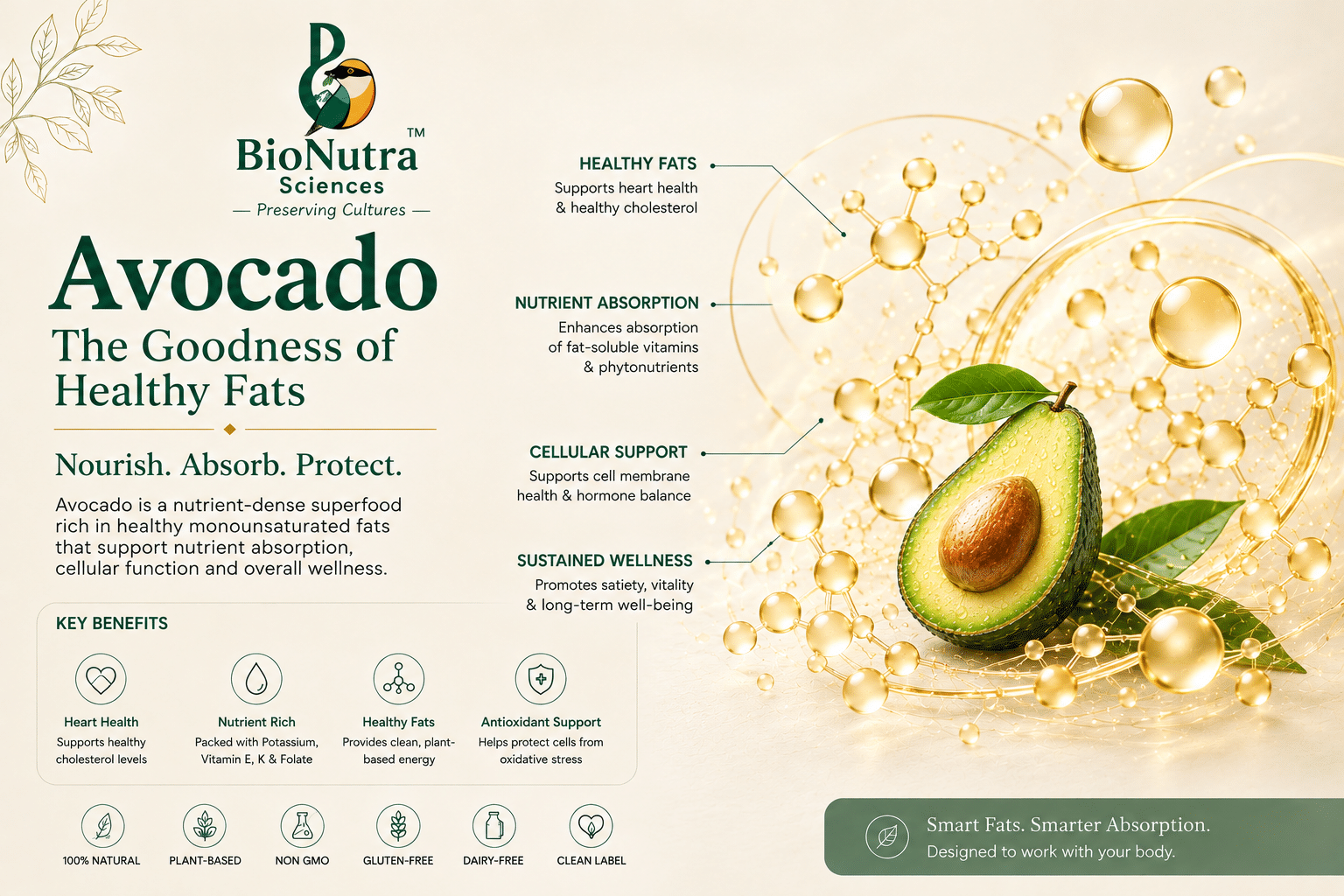 Avocado biochemistry image