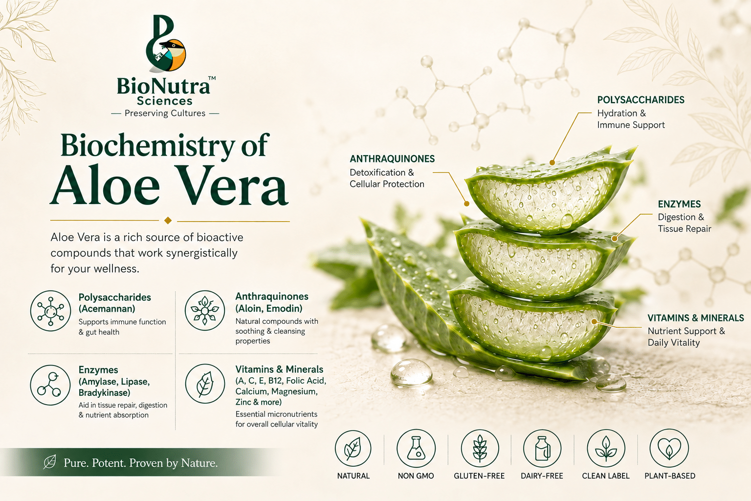 BioNutra Aloe Vera Infographic
