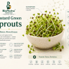 Mustard sprouts Chemistry