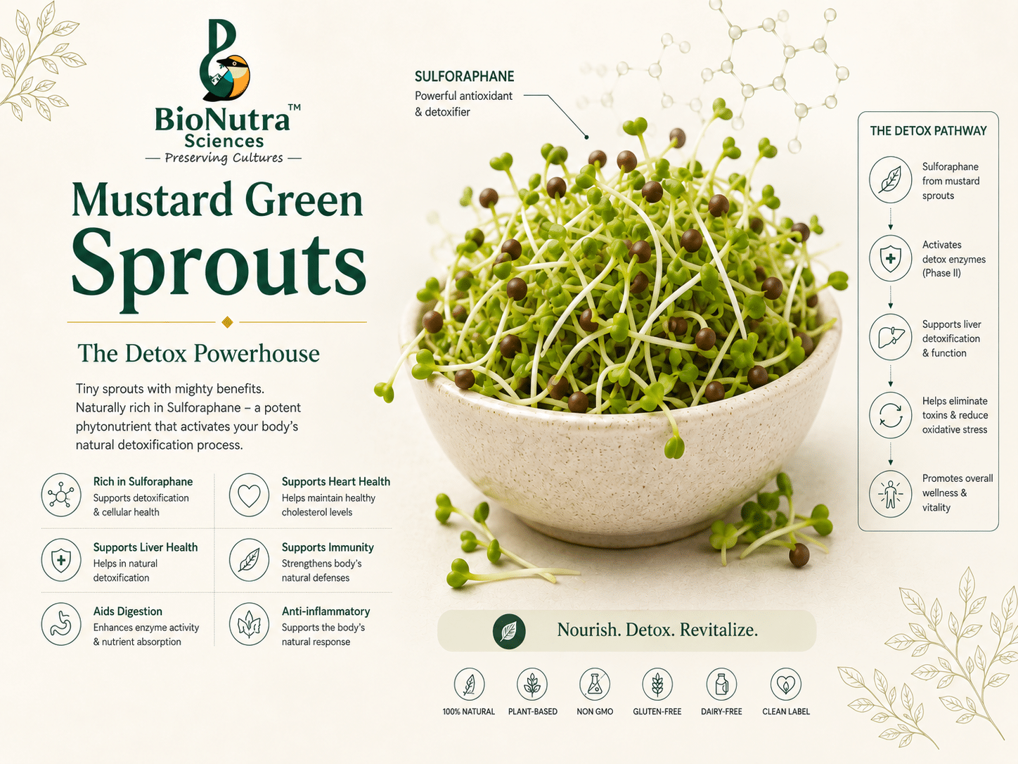 Mustard sprouts Chemistry