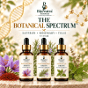 Nano Saffron, Rosemary & Tulsi (Holy Basil) Drops bottle image