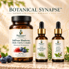 Botanical Synapse Amber Supplement Trio-Bottles image